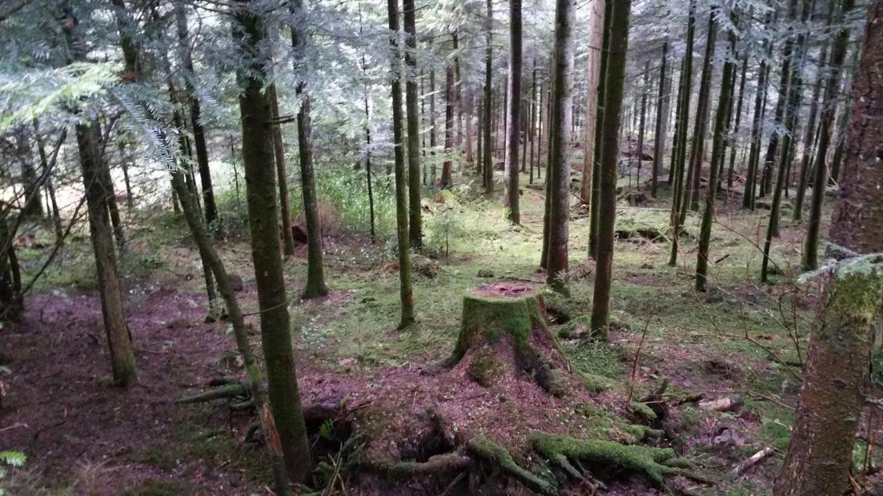 Oeko-Landhotel Basler Hof Lauterbach  Kültér fotó
