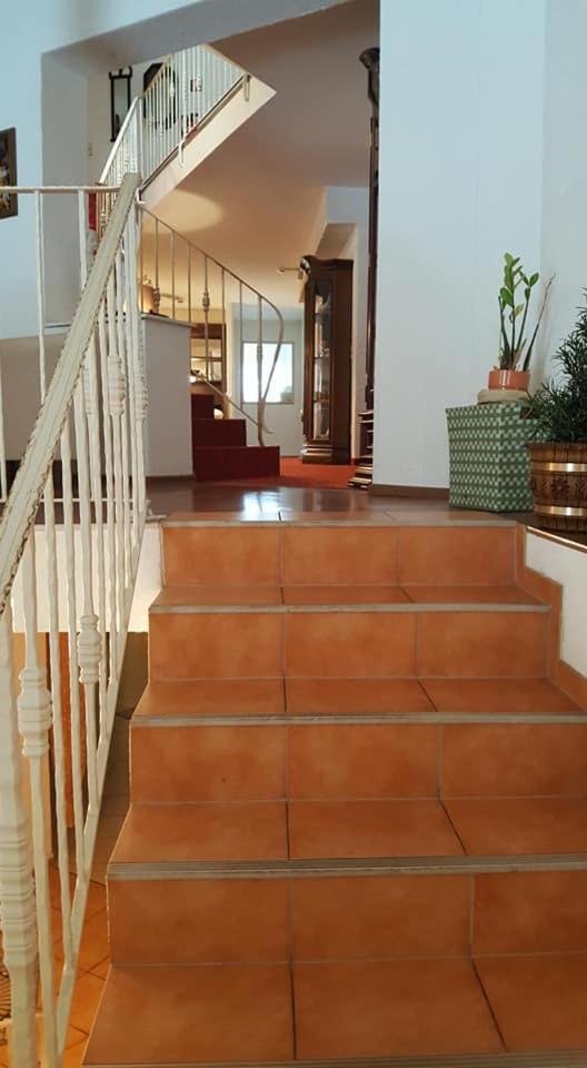 Oeko-Landhotel Basler Hof Lauterbach  Kültér fotó
